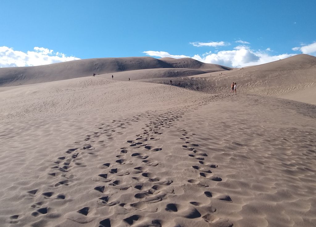 Desert Footsteps