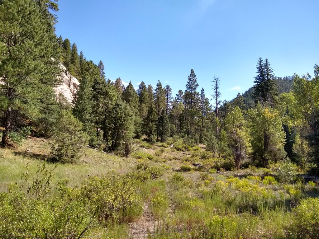 Canyon where I saw a black bear