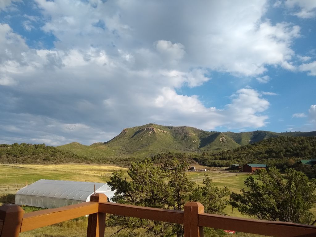 View from Fred&rsquo;s Porch